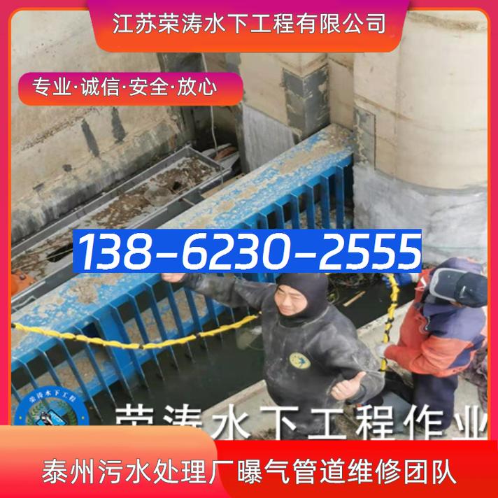 泰州污水处理厂曝气管道维修团队 守护碧水清流的管道工程铁军